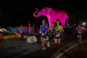 BIB: 
                            <button type="button" onclick="openModal(26552080)" class="btn btn-primary btn-sm float-right btn-popup" data-toggle="modal" data-target=".modal-high-quality">
                        <i class="fas fa-shopping-cart"></i> Add to Cart
                    </button>
                                            <button type="button" onclick="isThisMe(26552080, true)" class="btn btn-success btn-sm float-right btn-popup btn-isme hidden" data-toggle="tooltip" data-placement="bottom" title="นี่คือรูปของคุณใช่ไหม คลิกที่นี่เพื่อเอาเข้าอัลบั้ม">
                        <i class="fas fa-plus"></i> Add to album
                    </button>
                    <button type="button" onclick="isThisMe(26552080, false)" class="btn btn-warning btn-sm float-right btn-popup btn-isnotme hidden">
                        <i class="fas fa-ban"></i> Remove from album
                    </button>